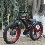 电动自行车