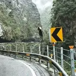 轮廓标